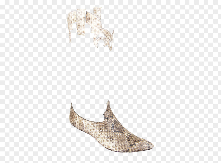 Rattle Snake Shoe PNG