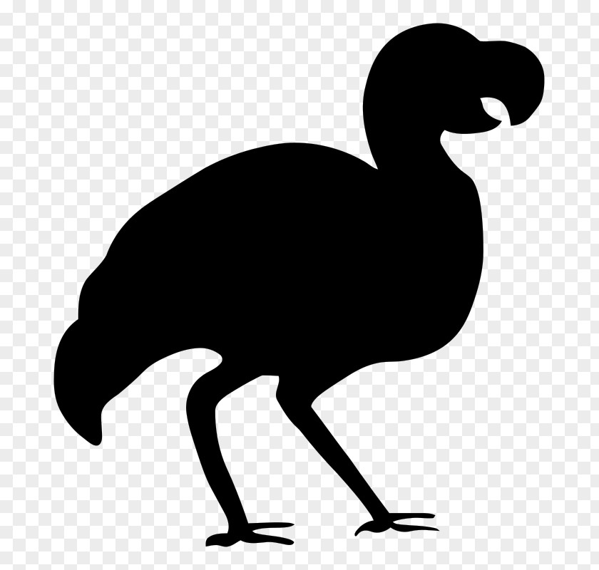 Silhouettes Bird Dodo Silhouette Clip Art PNG