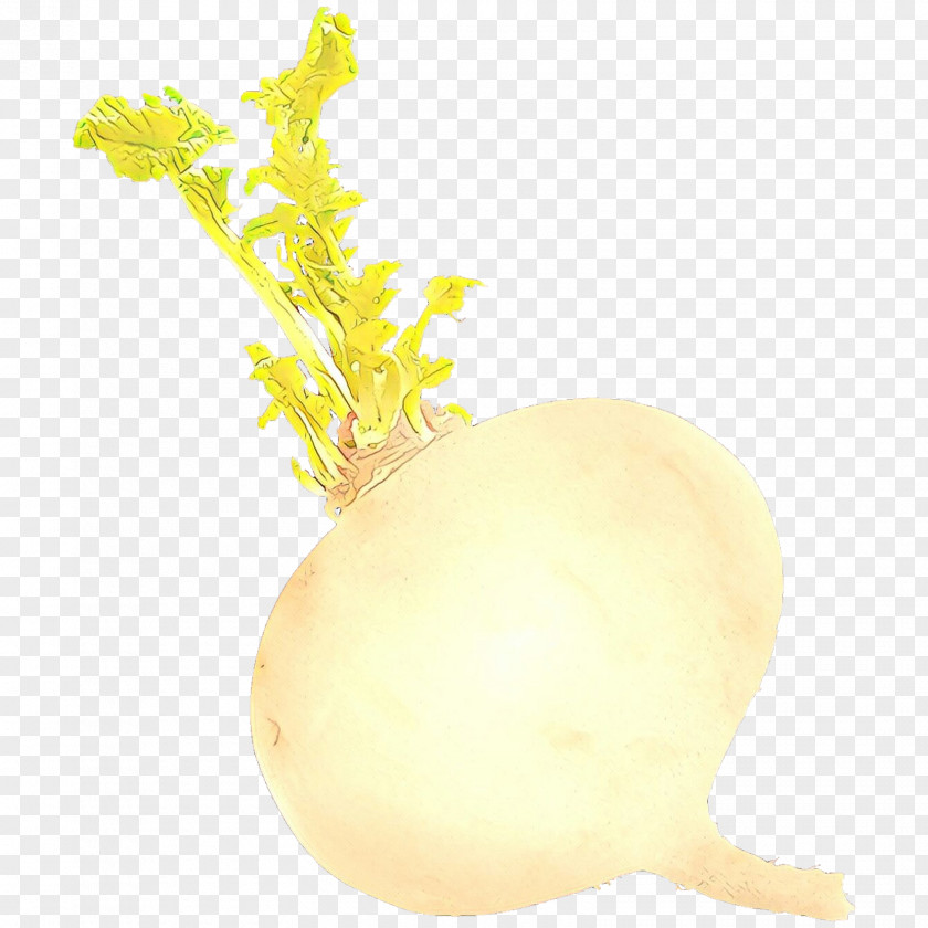 Turnip Root Vegetable Yellow Rutabaga PNG