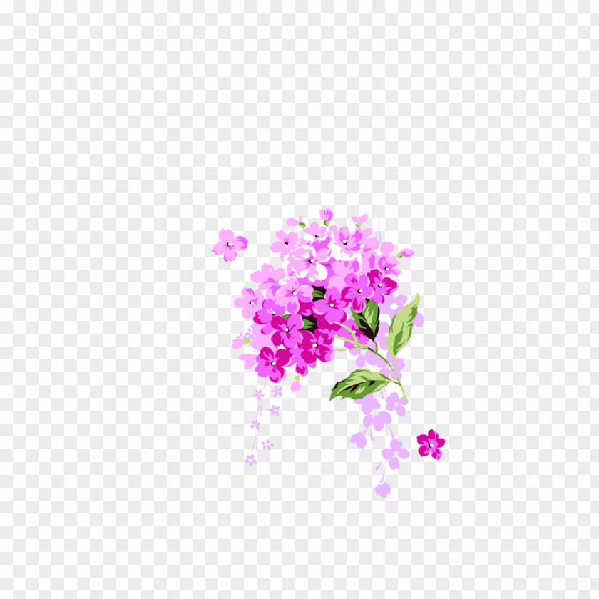 A Bouquet Of Flowers Petal Flower Illustration PNG