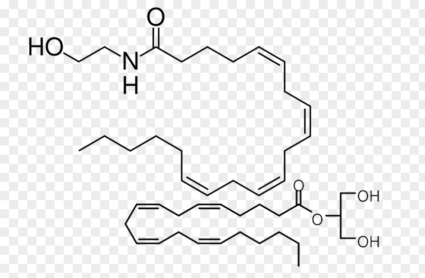Cannabis Anandamide Endocannabinoid System Tetrahydrocannabinol Cannabidiol PNG
