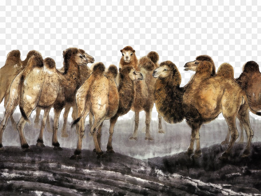 A Group Of Camels Camel Chinese Painting Art PNG