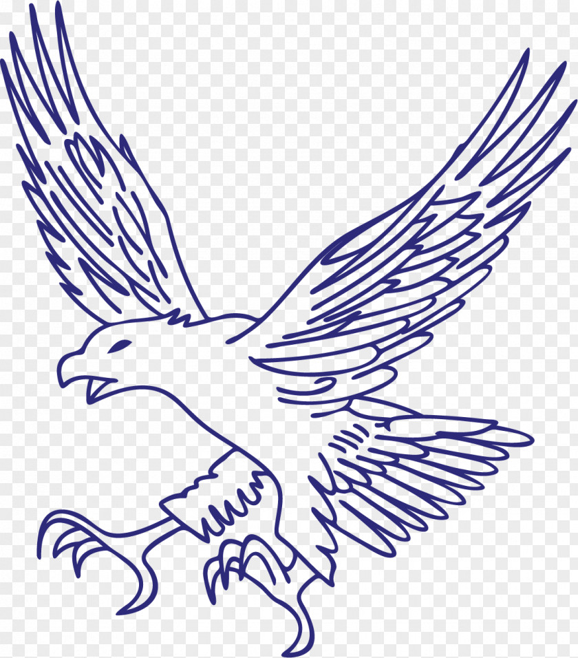 Blue Eagle Hawk PNG
