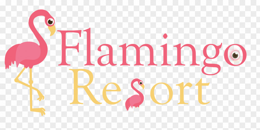 Flamingo Monson Savings Bank Credit Card PNG