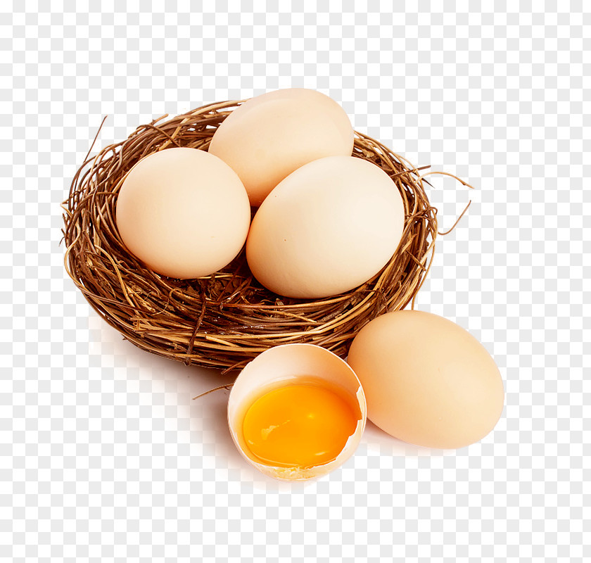 Nest Eggs Egg White PNG