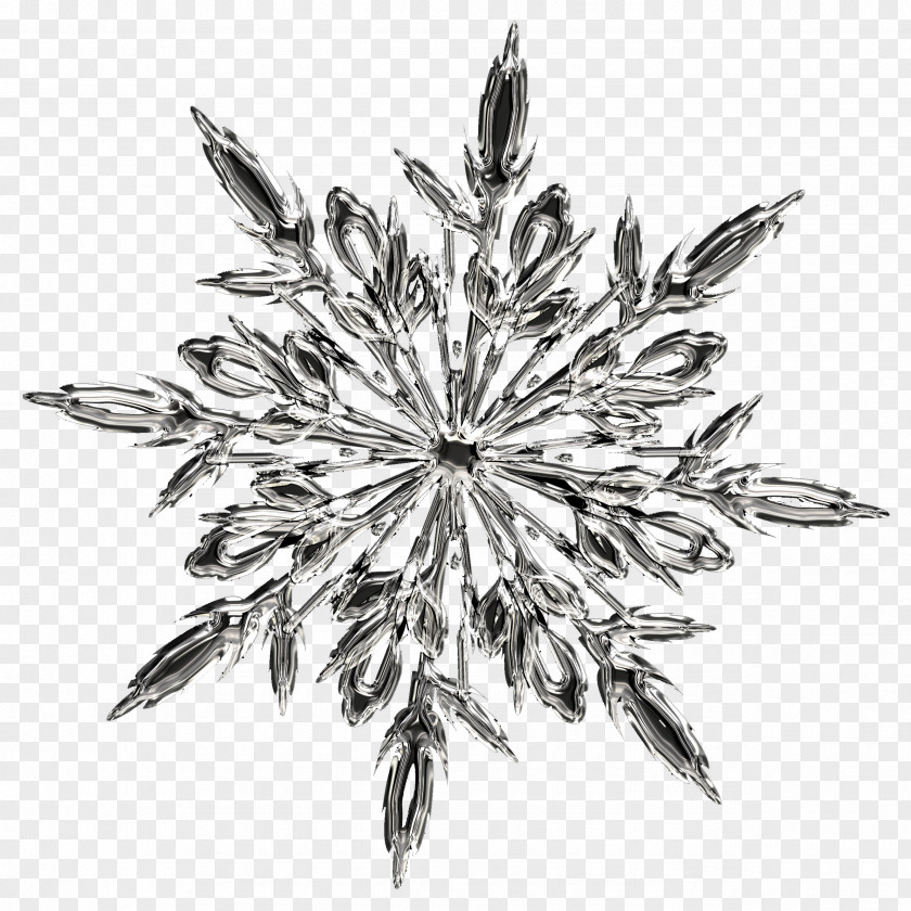 Snowflake Ice Crystals T-shirt PNG