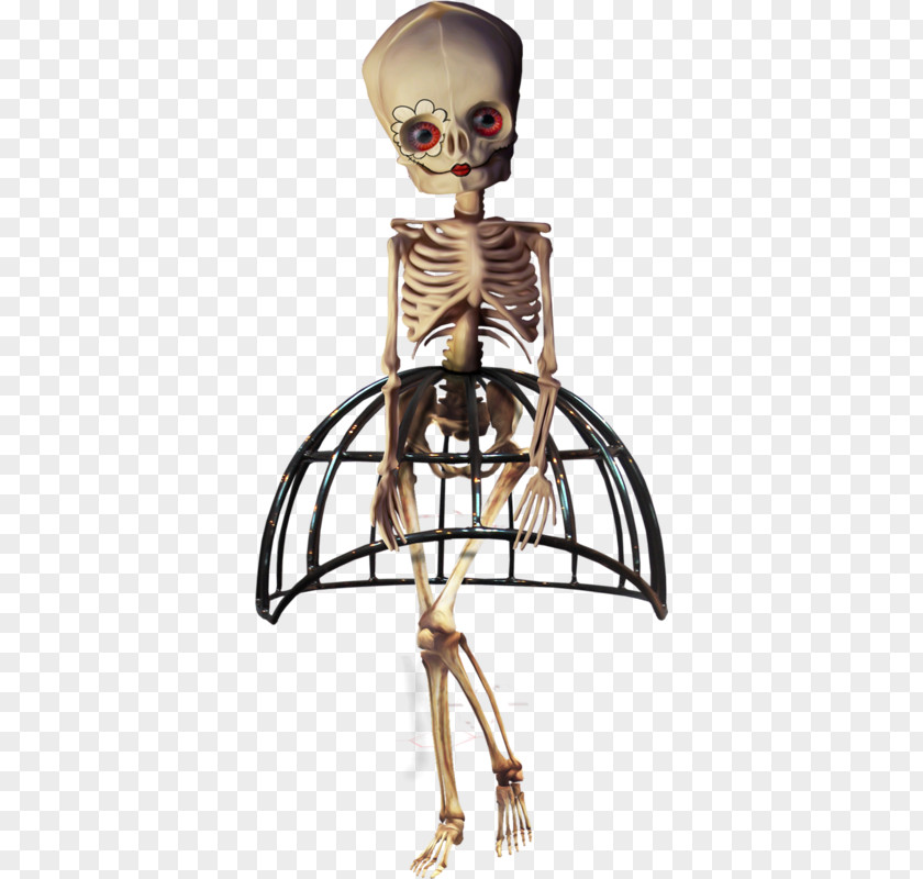 Beauty Skull Skeleton Human Halloween PNG