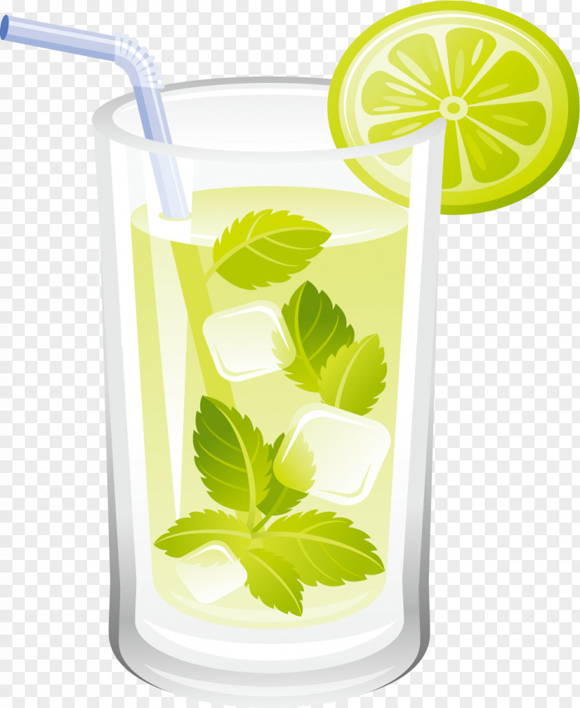 Hand Painted Mint Water Limeade Peppermint Limonana PNG