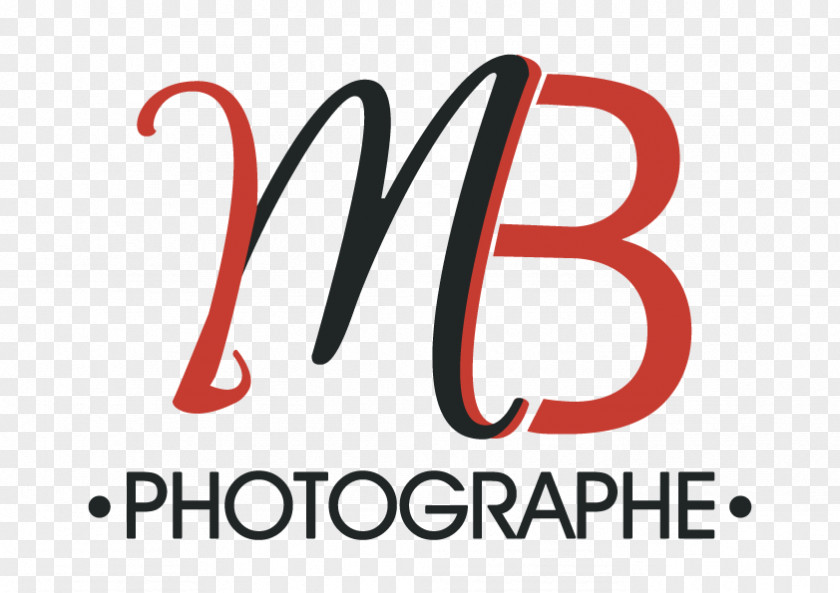 Photographer Photography Rule Of Thirds Salon De La Photo Paris PNG