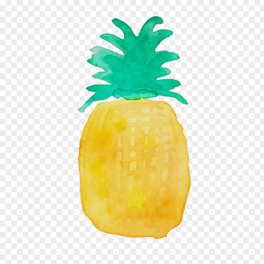 Poales Plant Pineapple PNG