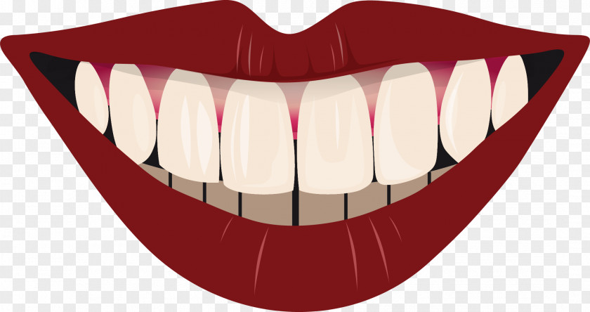 Rosy Lips And Pretty White Teeth Smile Tooth Pathology Clip Art PNG