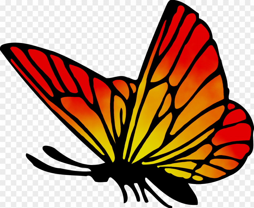 Monarch Butterfly Clip Art Brush-footed Butterflies Pieridae Symmetry PNG