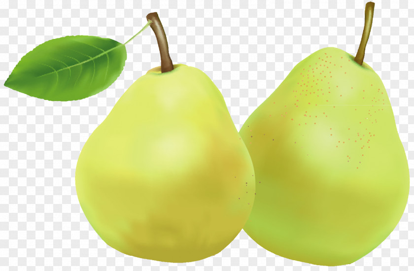 Tasty Pear Food Fruit PNG