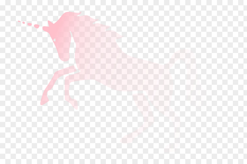 Unicorn Invisible Pink Parody Religion PNG