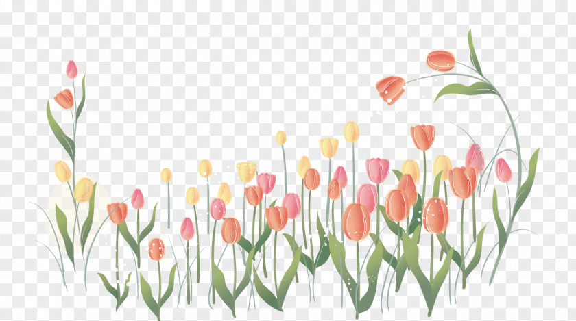 Vector Tulips Indira Gandhi Memorial Tulip Garden Flower Clip Art PNG