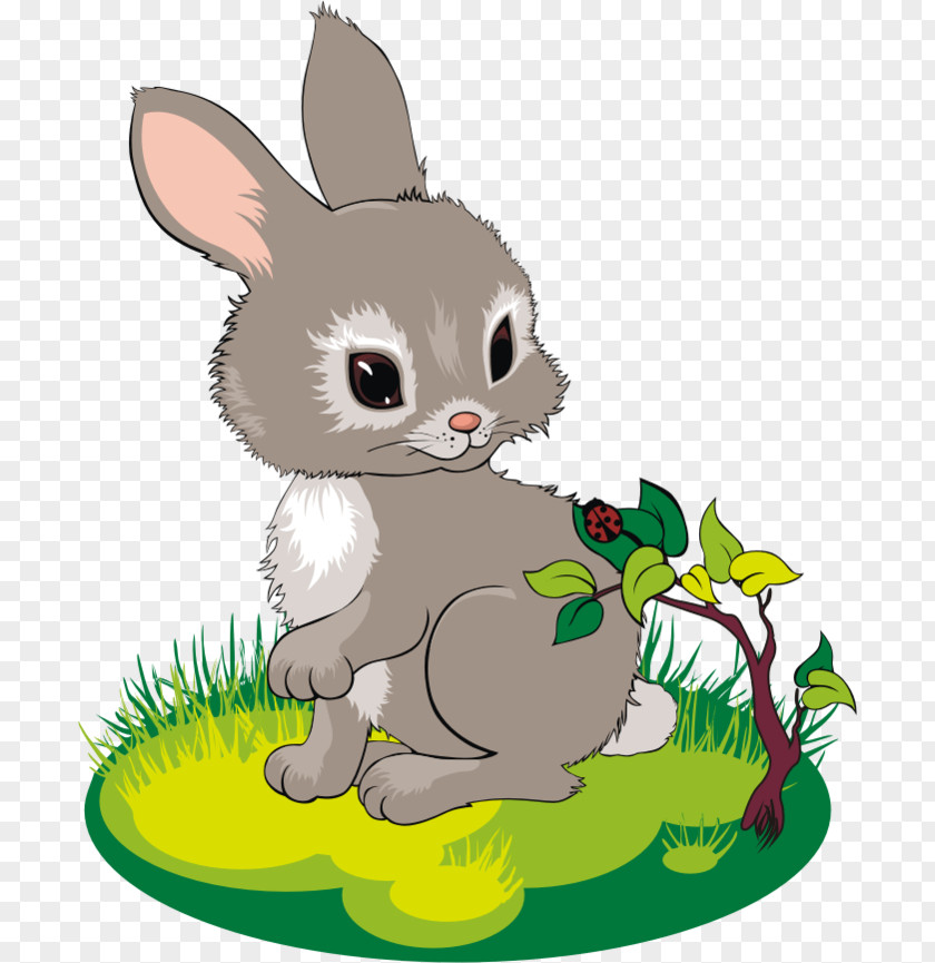 Rabbit Whiskers Domestic Hare Easter Bunny PNG