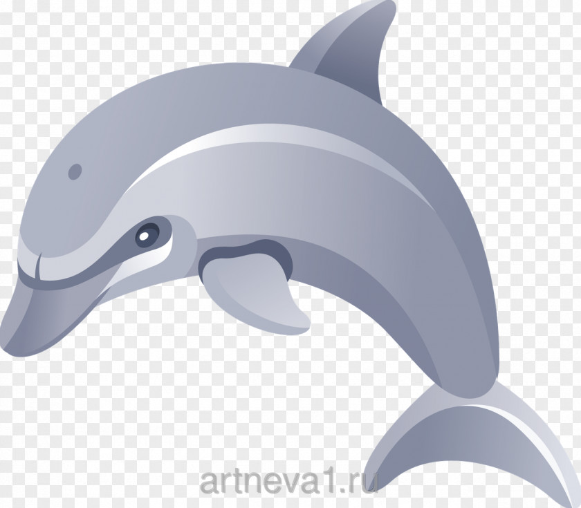 Shark Dolphin Desktop Wallpaper Clip Art PNG