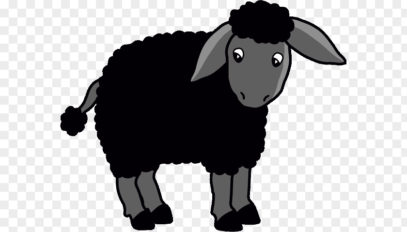 Sheep Black Goat Coloring Book Child PNG