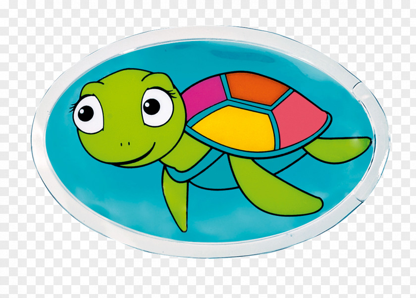 Turtle Sea Cartoon Oval PNG