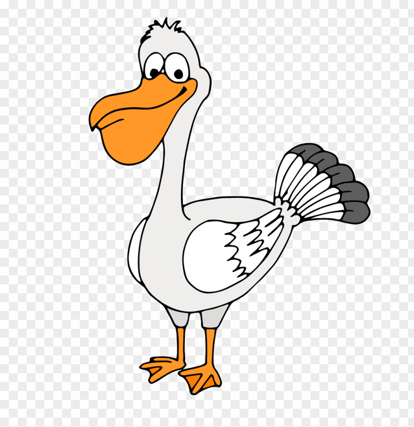 Vector Cartoon Painted White Duck Goose Bird Common Ostrich Chicken PNG