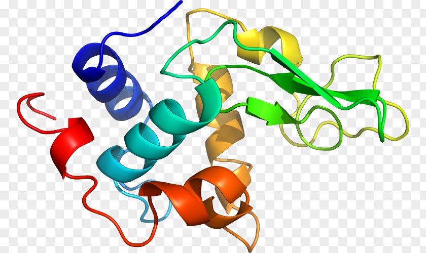 Camelid Antibodies Integral Membrane Protein Cell Biological Lipid Bilayer PNG