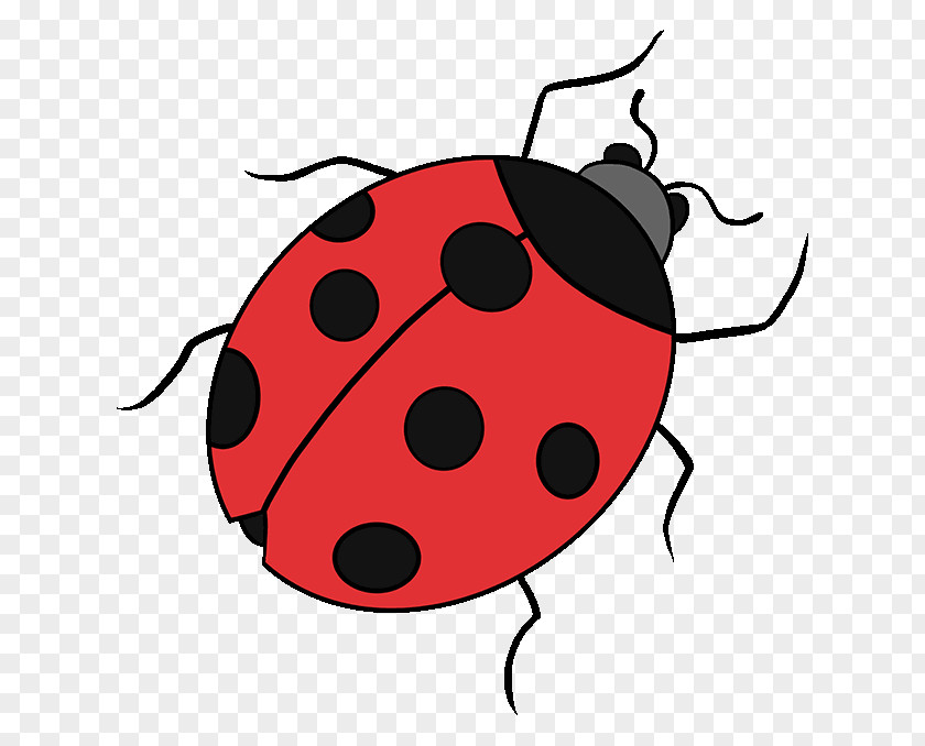 Cute Ladybug Drawings Drawing Ladybird Beetle Image Tutorial Clip Art PNG
