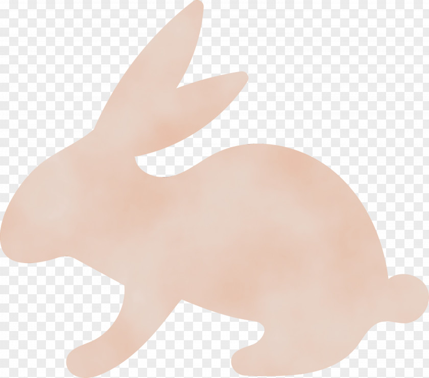 Hare Dog Snout Rabbit Tail PNG