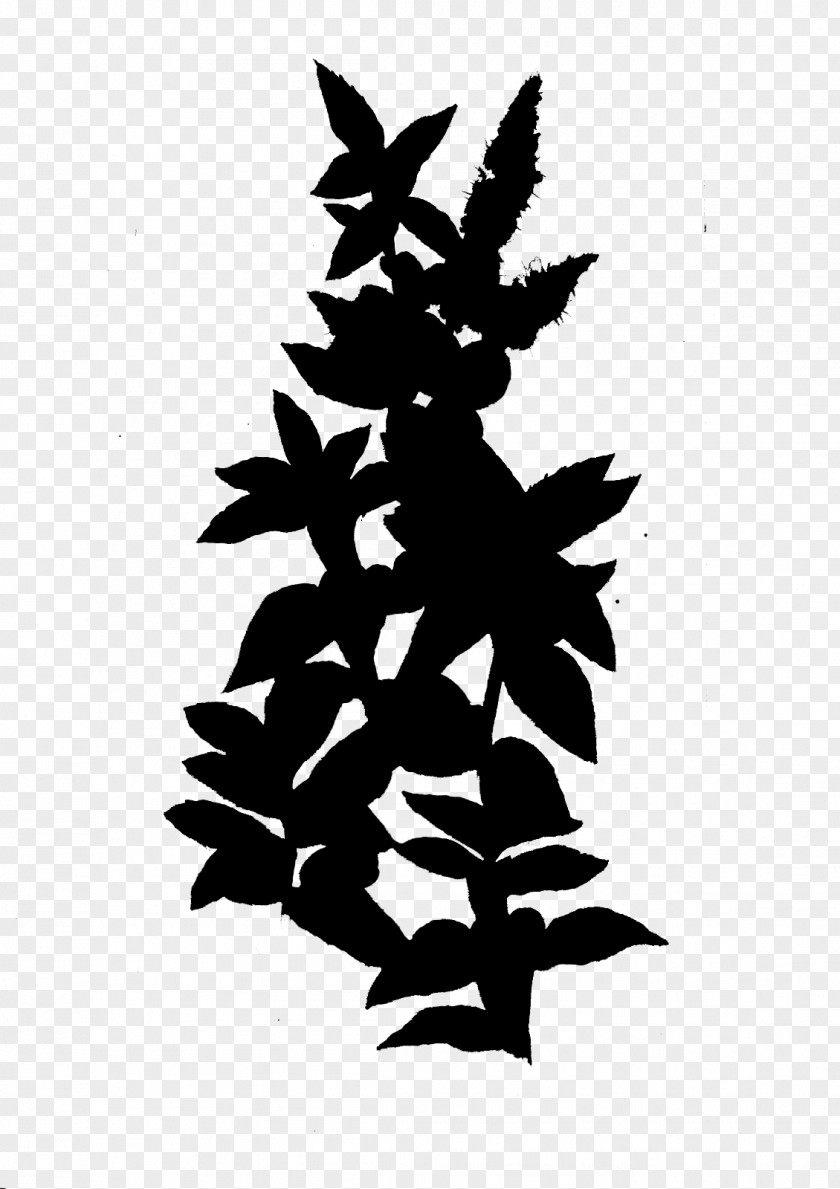Leaf Flowering Plant Silhouette Font PNG
