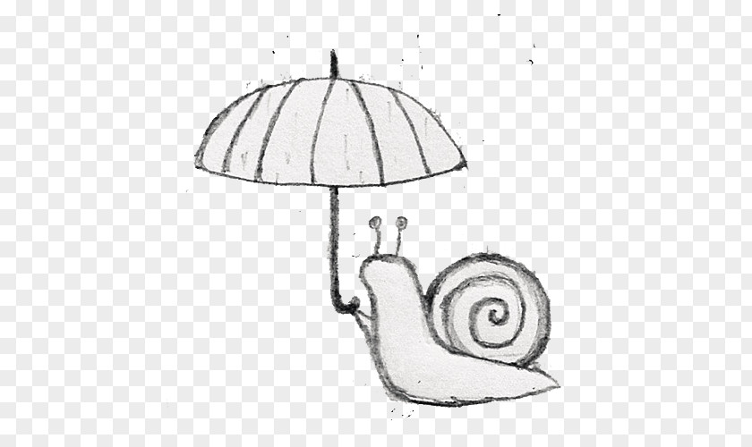 Snails Drawing Black And White Avatar Icon PNG