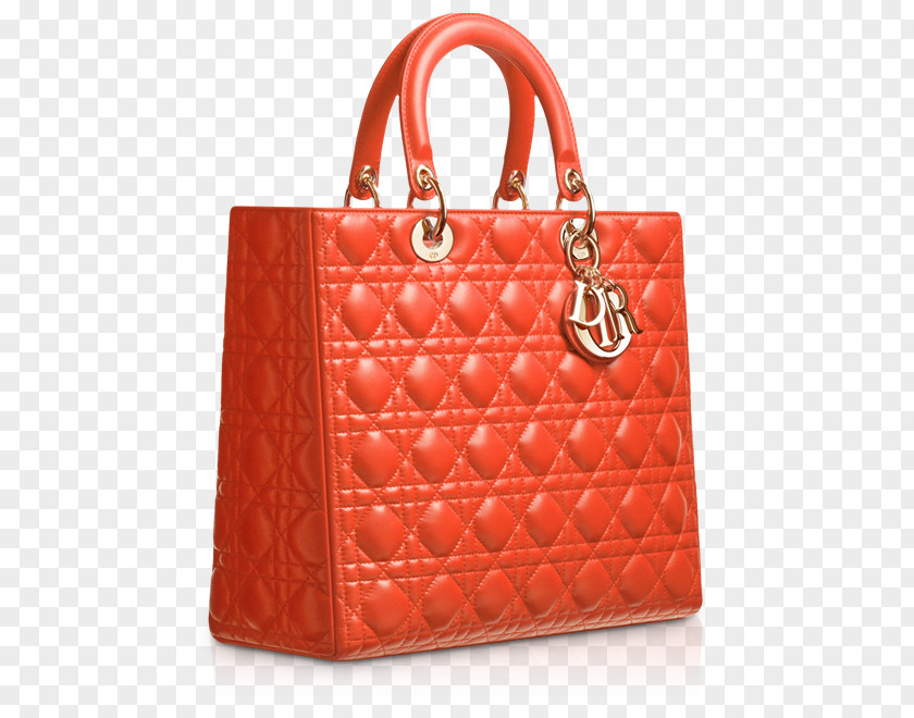 Snake Gucci Lady Dior Handbag Christian SE Fashion PNG