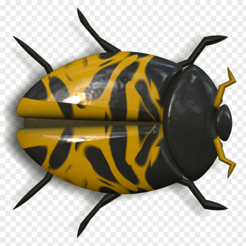 Beetle Ladybird Yellow Butterfly PNG