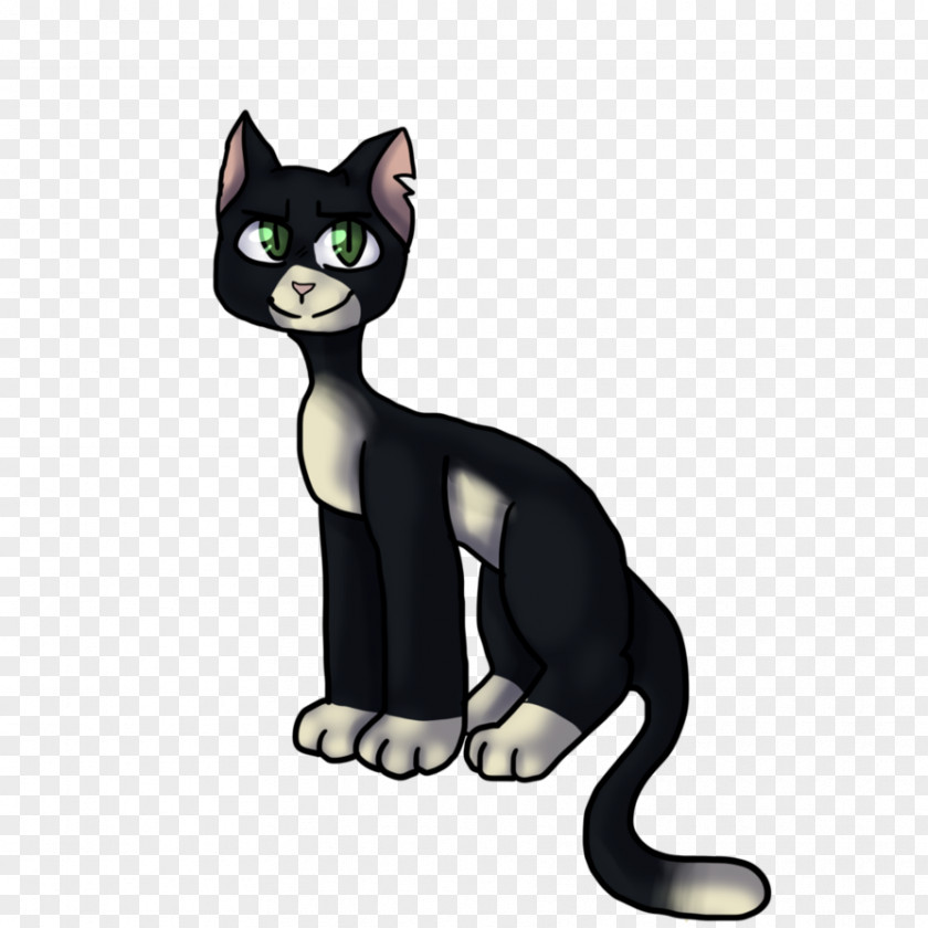 Kitten Korat Black Cat Domestic Short-haired Whiskers PNG