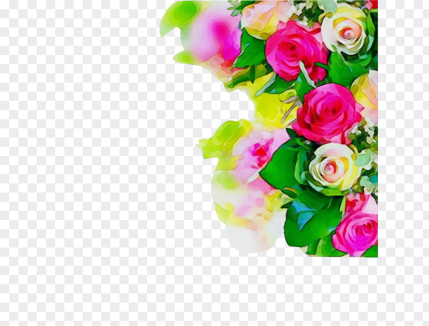 Rose Order Petal Garden Roses PNG