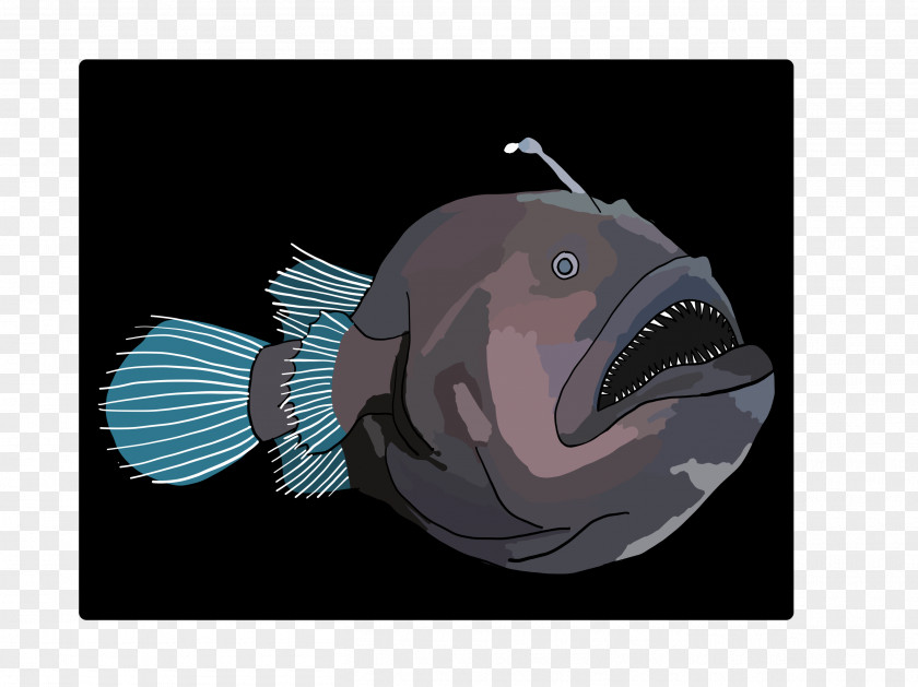 Fish Anglerfish Deep Sea Mouth Snout PNG