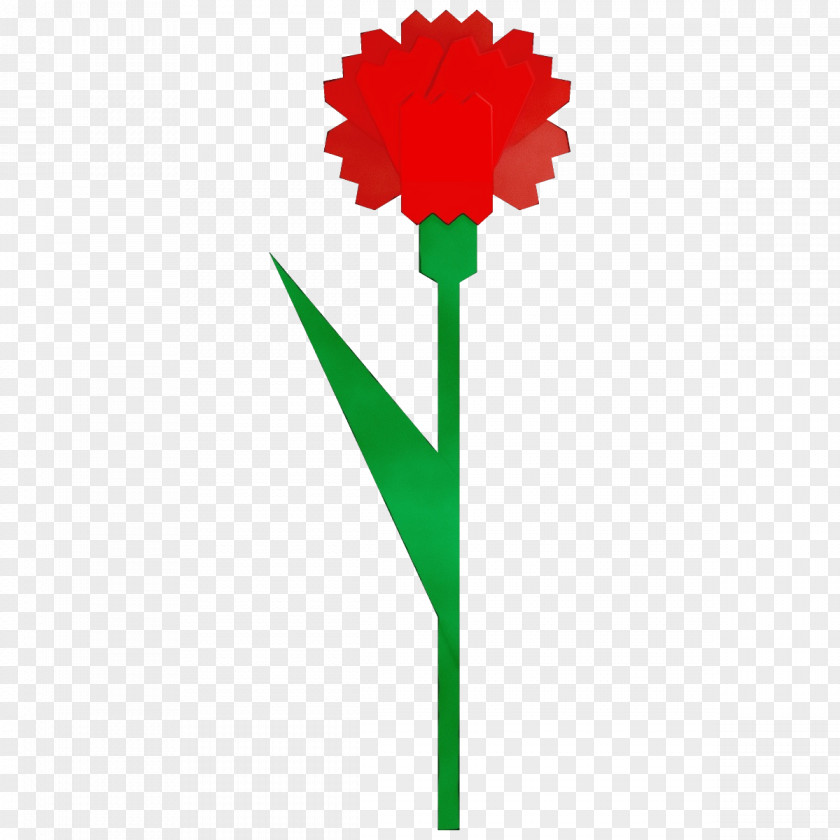 Green Flower Plant Cut Flowers Gerbera PNG