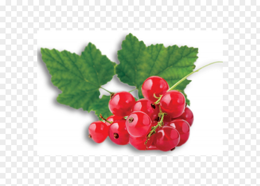 Lekvar Redcurrant Fruit Berry Gelatin Dessert PNG