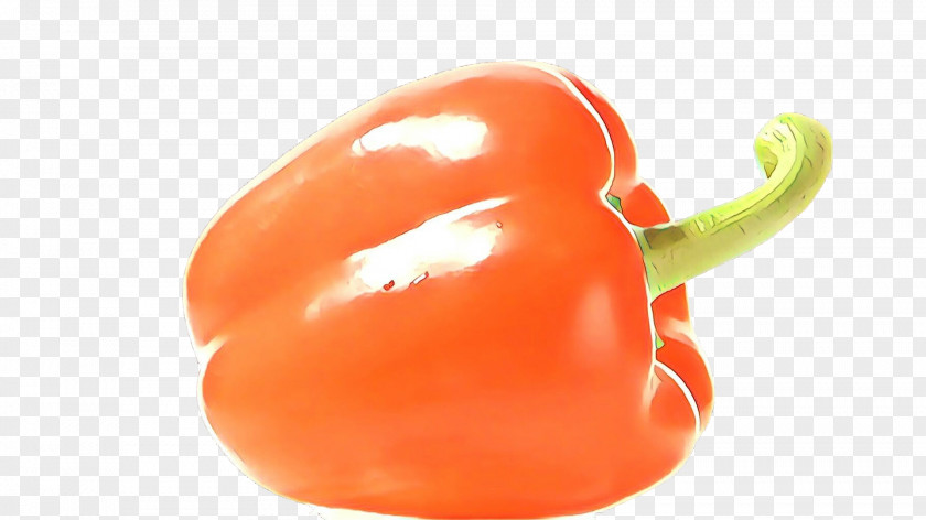 Nightshade Family Fruit Tomato Cartoon PNG