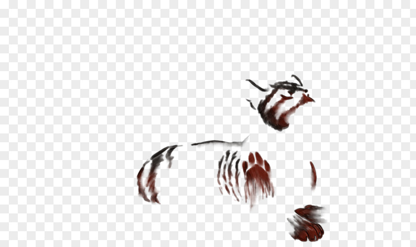 Painted Lion Insect Cat Animal Mammal Invertebrate PNG