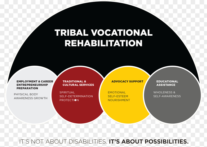 Vocational Rehabilitation Sinte Gleska University Counseling Physical Medicine And PNG