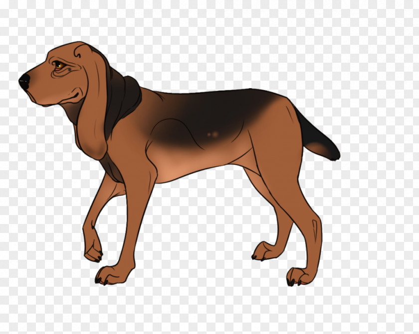Anatomy Ribbon Redbone Coonhound Dog Breed Cartoon Sleeve PNG