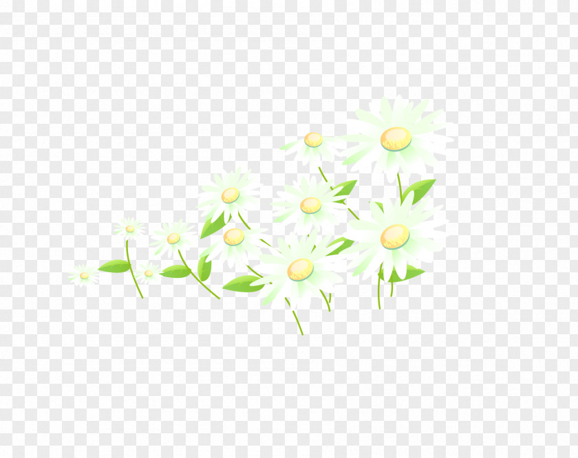 Chrysanthemum Material Petal Green Floral Design Pattern PNG