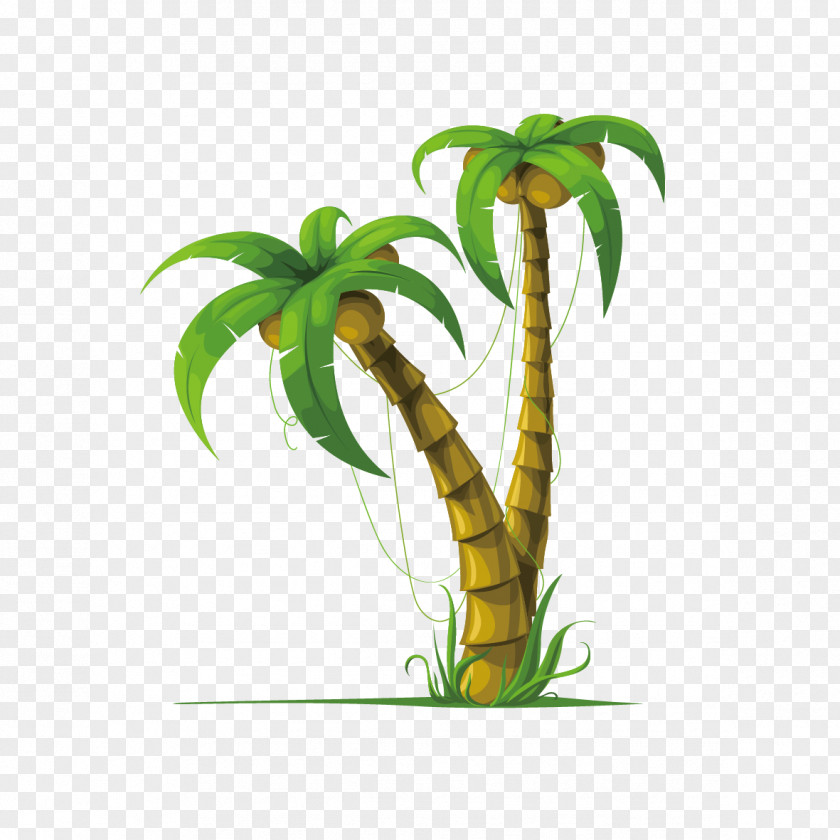 Coconut Tree Arecaceae Drawing Stock Photography PNG