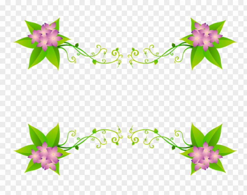 Dividing Line Decorative Arts Flower Clip Art PNG