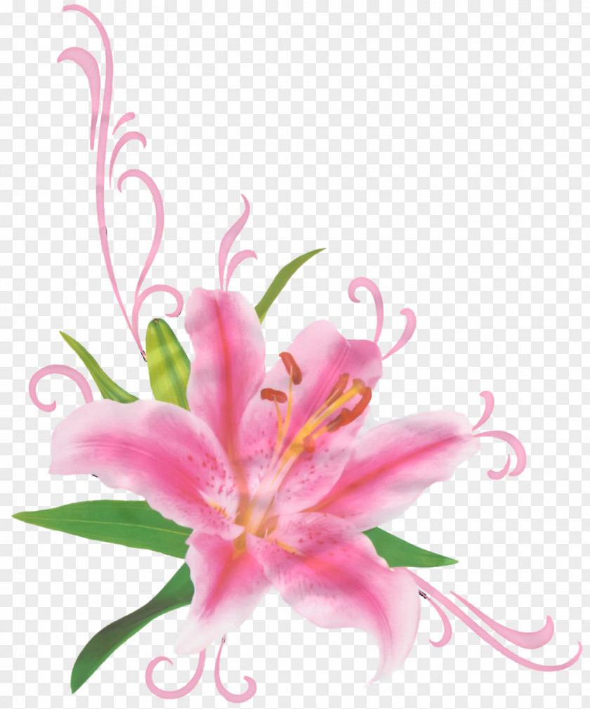 Flower Bunch Floral Design Desktop Wallpaper Clip Art PNG