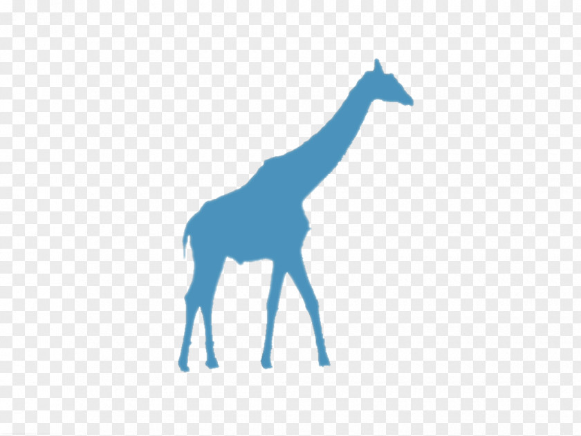 Giraffe Vector Graphics Illustration Clip Art Image PNG