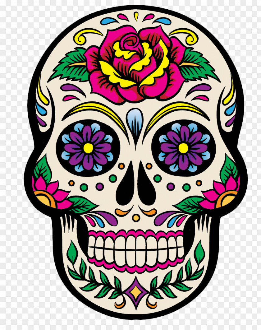 Head Bone Day Of The Dead Skull PNG