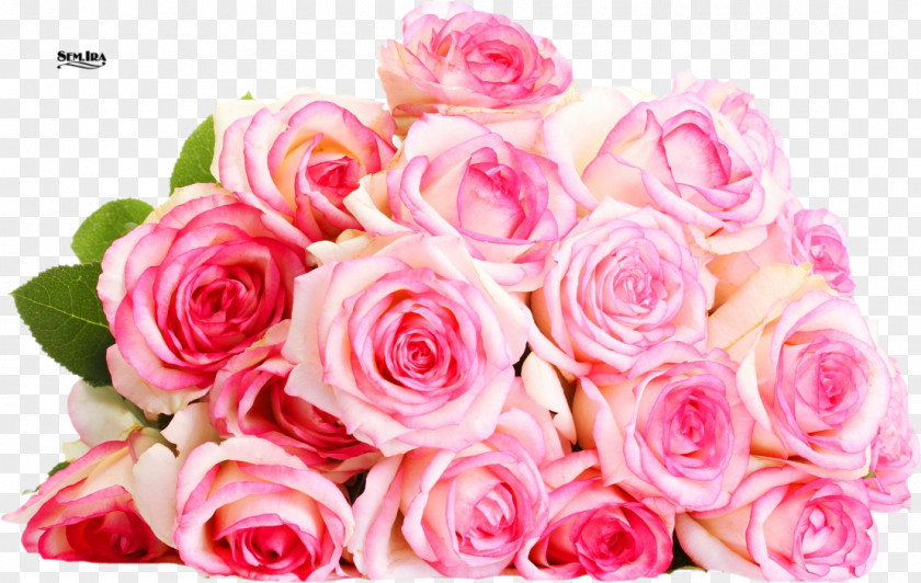 International Women Day Ansichtkaart Flower Bouquet Download PNG