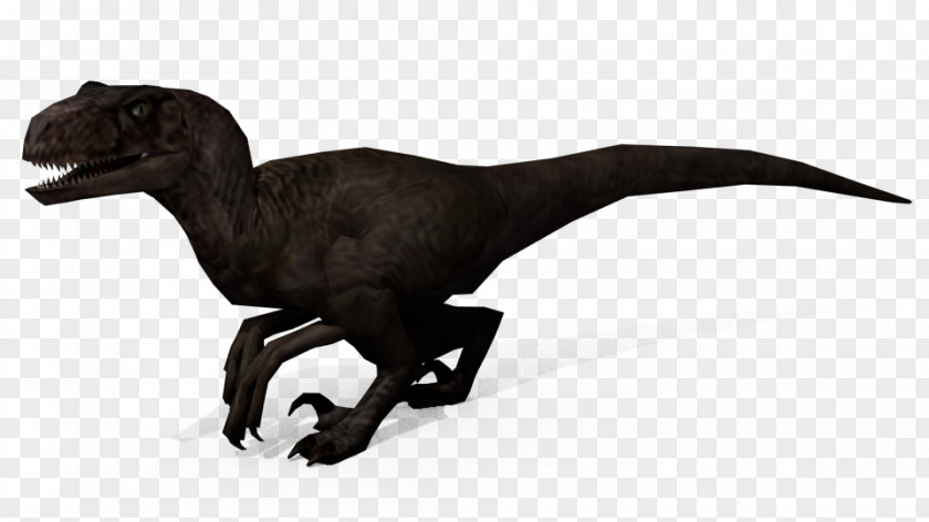 Jurassic Park Operation Genesis Carnotaurus Velociraptor Park: Indoraptor Dilophosaurus Isla Nublar PNG