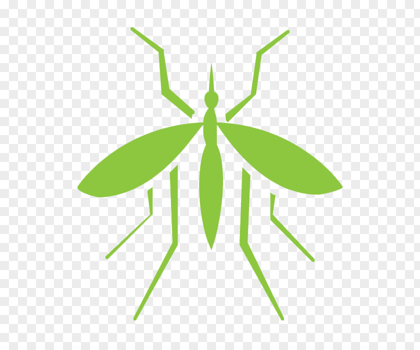 Mosquito Insect Pest Control Cockroach PNG