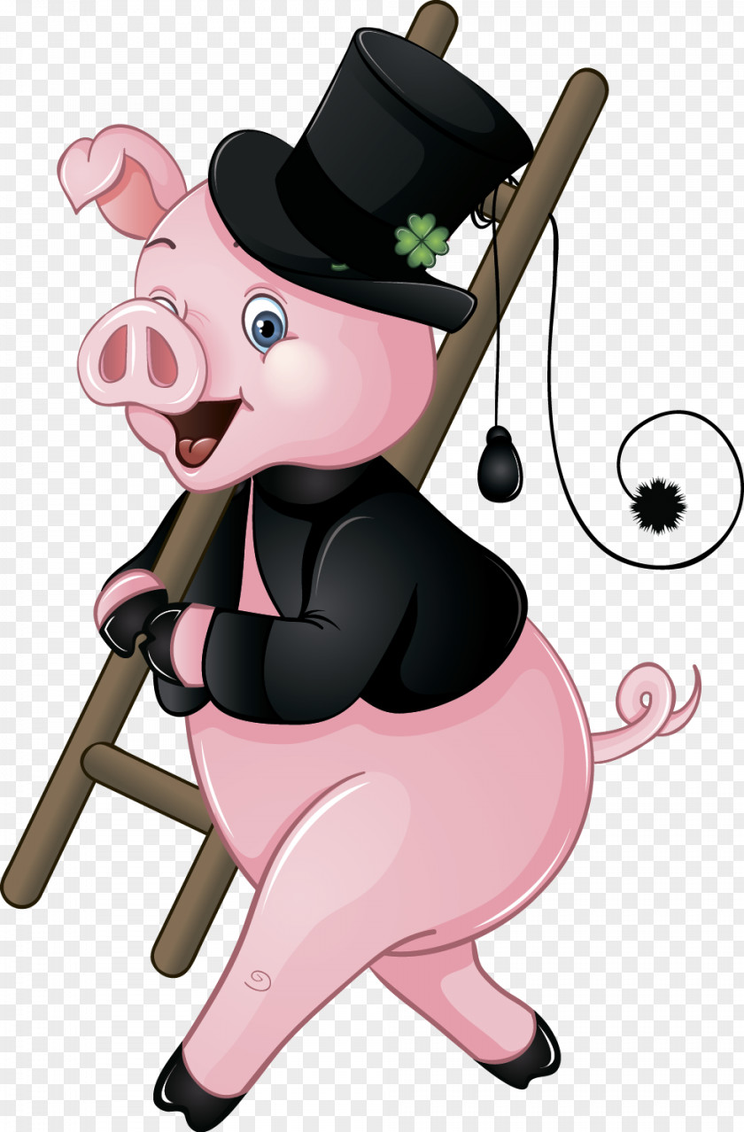Pig Domestic Stock Photography PNG